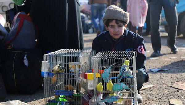 Сирийский мальчик, эвакуированный из Алеппо, сидит рядом с клетками с попугаями