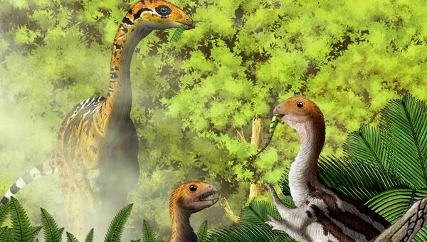 Так художник представил себе травоядных взрослых цератозавров и их плотоядных детенышей