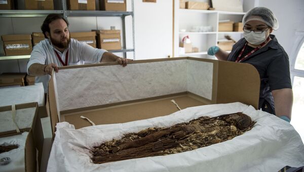 Антрополог Вероника Силва демонстрирует мумию, изготовленную индейцами чинчорро, в Национальном музее естественной истории Чили. Декабрь 2016