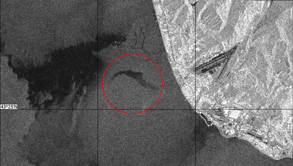 Радиолокационное изображение района катастрофы самолета Ту-154 в Сочи