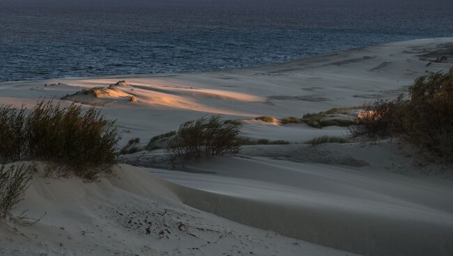 Песок на побережье. Архивное фото