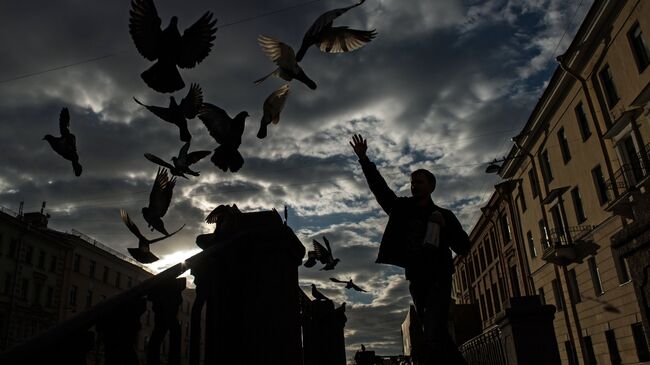 Молодой человек кормит голубей на канале Грибоедова в Санкт-Петербурге