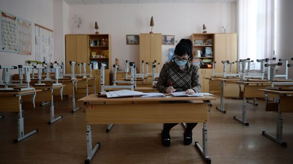Учительница во время карантина по гриппу в средней общеобразовательной школе. Архивное фото