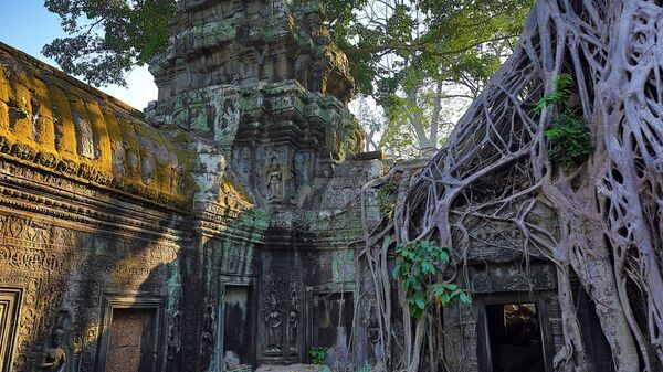 Храм Та Прум в в Ангкоре, Камбоджа