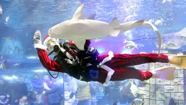 Водолаз в костюме Санта-Клауса кормит животных в аквариуме города Сучжоу, провинция Цзянсу, Китай
