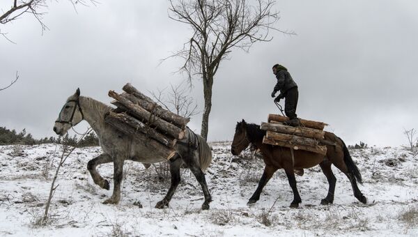 Дровосек перевозит лес на лошодях возле Софии, Болгария. Архивное фото