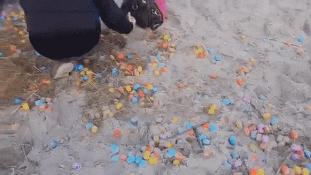Яйца с игрушками на берегу. gif