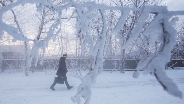 Аномальные морозы в Москве. Архивное фото