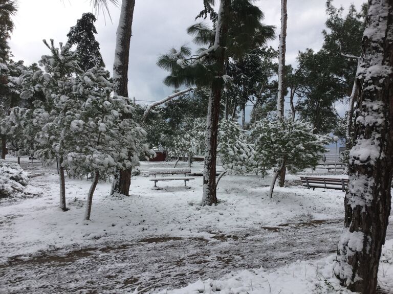 Морозы в Греции Морозы в Греции