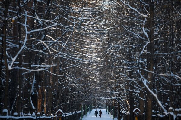Люди гуляют в одном из парков Москвы в морозный день