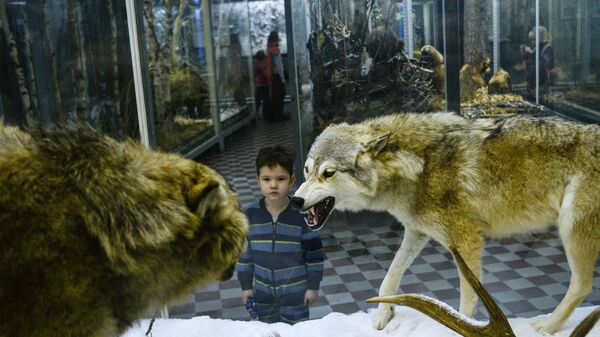 Посетитель в зоологическом музее Санкт-Петербурга