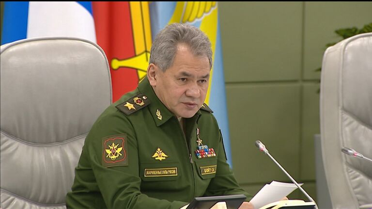 Шойгу об успешном выполнении задач в Сирии  и нулевом вкладе РФ в борьбу с ИГ