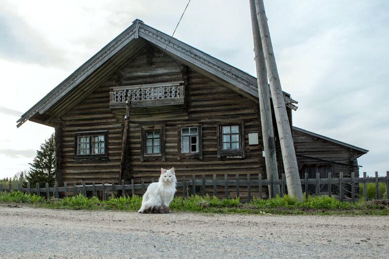 Жилой деревянный дом в деревне Кинерма в Карелии