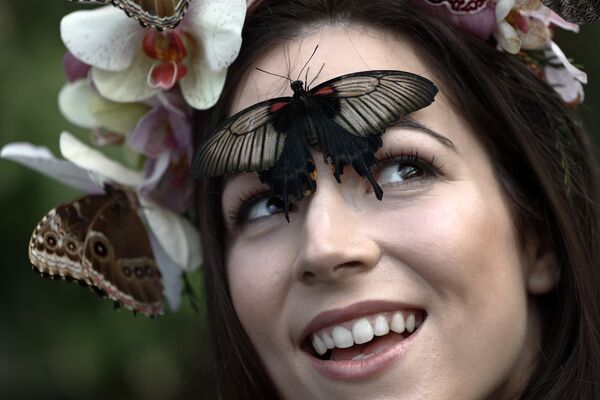Девушка во время фотосессии с бабочкой в Лондоне