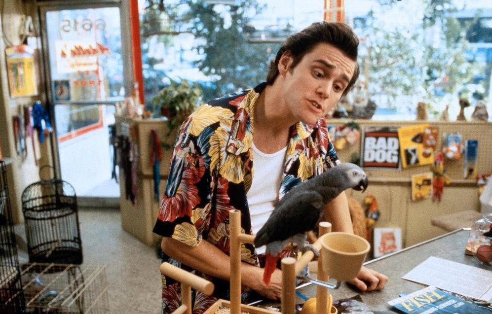 Кадр из фильма Эйс Вентура: Розыск домашних животных - РИА Новости, 1920, 27.10.2025