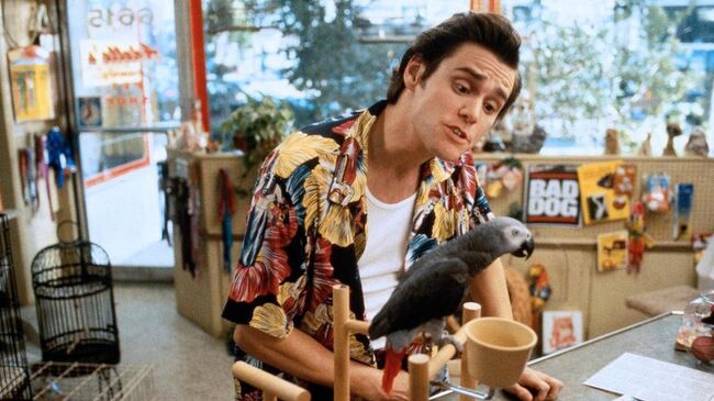 Кадр из фильма Эйс Вентура: Розыск домашних животных