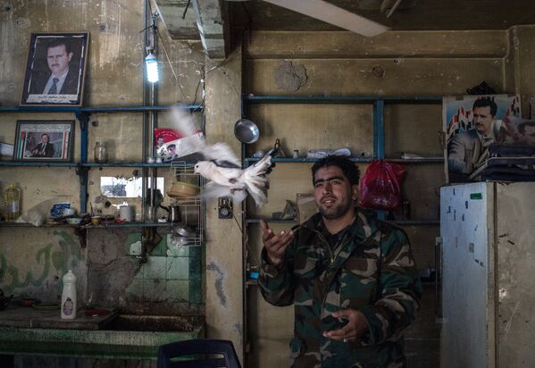 Военнослужащий Сирийской Арабской Армии на контрольно- пропускном пункте в разрушенном районе аль Хомса аль Хамидия. Сирия, 12.12.2015