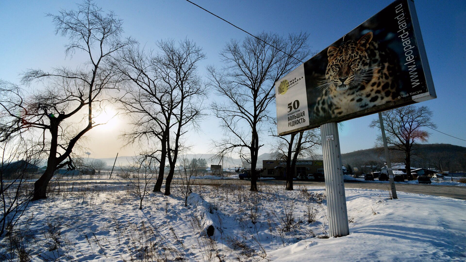 Баннер в селе Барабаш на территории национального парка Земля леопарда в Приморском крае - РИА Новости, 1920, 05.04.2022