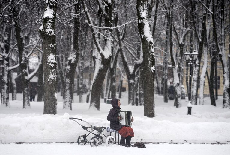 Женщина с аккордеоном в зимнем парке Великого Новгорода