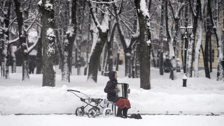 Женщина с аккордеоном в зимнем парке Великого Новгорода Женщина с аккордеоном в зимнем парке Великого Новгорода