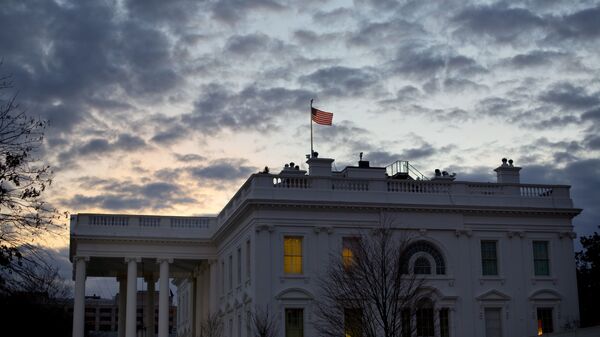 Здание Белого дома в Вашингтоне. Архивное фото