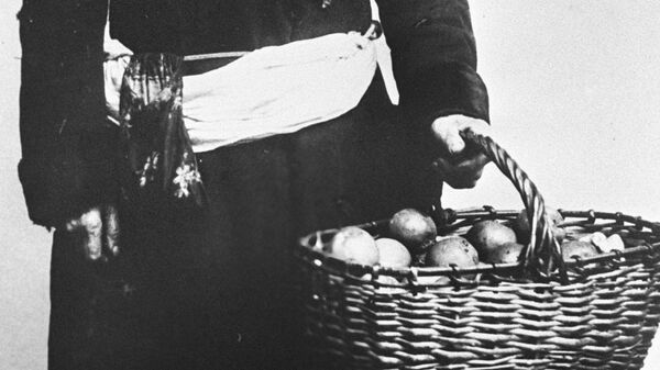 Московская торговка яблоками. Москва, 1913 год