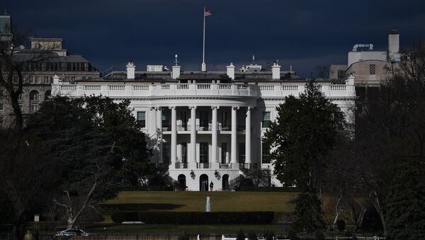 Вид на Белый дом в Вашингтоне. Архивное фото