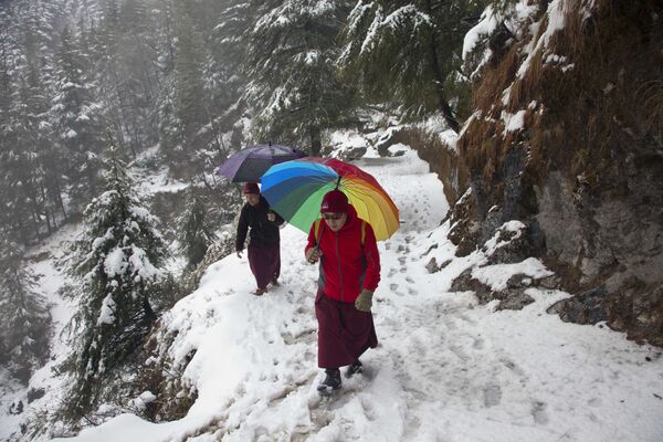 Тибетские монахи во время снегопада в Индии