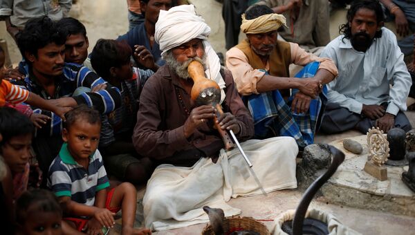 Заклинатель змей играет на флейте перед коброй после утренней молитвы в храме Jogi Dera в штате Уттар-Прадеш, Индия.