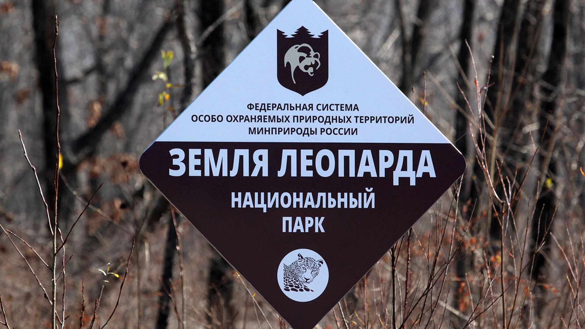 Табличка национального парка земля леопарда