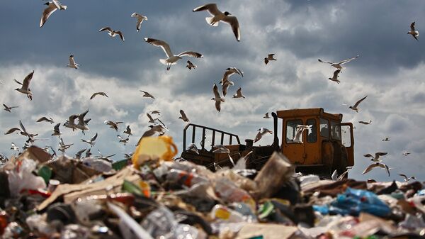 Россияне считают бытовые отходы наибольшей экологической опасностью