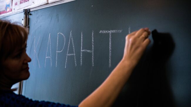 Учитель одной из школ Омска пишет на доске информацию о карантине. Архивное фото
