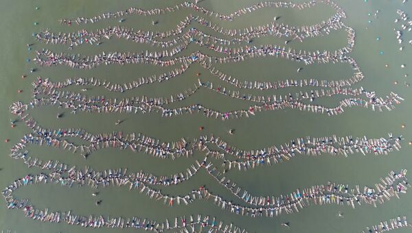 Около двух тысяч пловцов в Аргентине собрались в цепочку ради рекорда