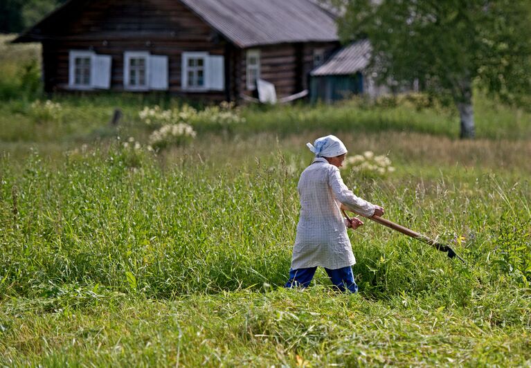 Кенозерский национальный парк