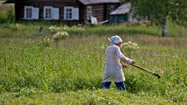 Кенозерский национальный парк