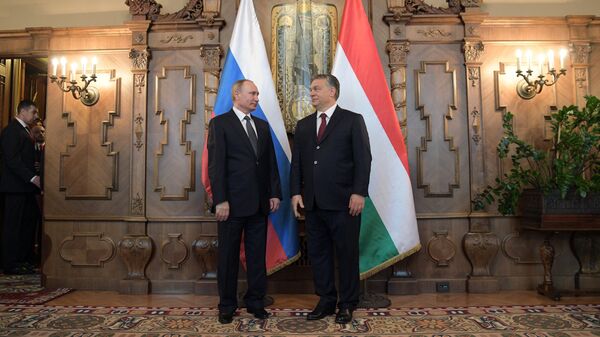 Президент РФ Владимир Путин и премьер-министр Венгрии Виктор Орбан во время встречи в Будапеште. 2 февраля 2017