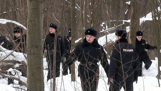 Проведение поиска в Красногорском лесу пропавшей Натальи Меламед. 3 февраля 2017