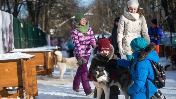Дети на территории парка Сокольники во время общения с собаками породы хаски в рамках реабилитационной и образовательной программы По пути с хаски