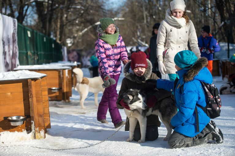 Дети на территории парка Сокольники во время общения с собаками породы хаски в рамках реабилитационной и образовательной программы По пути с хаски