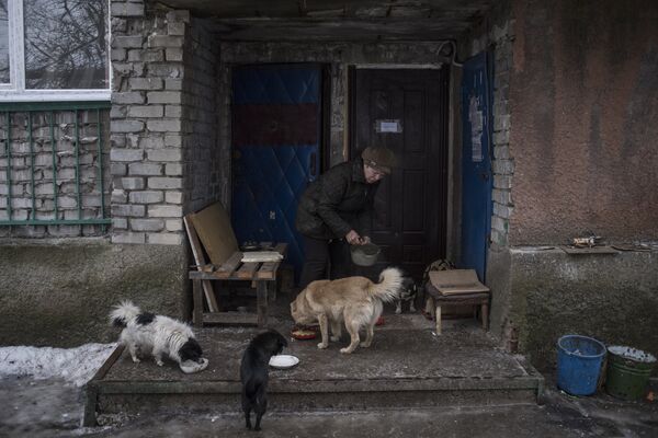 Женщина кормит собак в Киевском районе Донецка