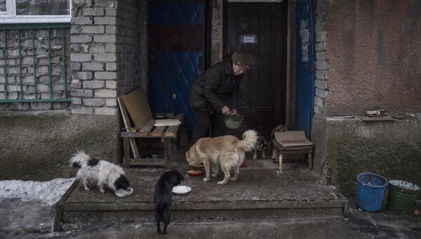 Женщина кормит собак в Киевском районе Донецка