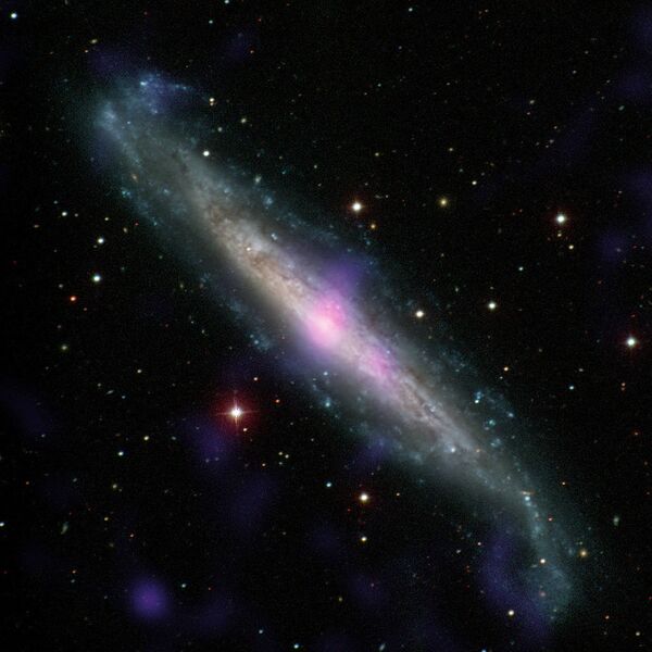 Галактика NGC 1448