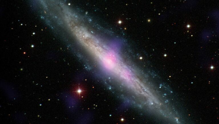 Галактика NGC 1448