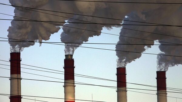 Страны G20 обязались сократить коллективные выбросы парниковых газов