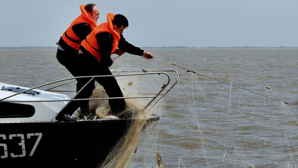 Спасение инспекторами нерестовой рыбы от браконьеров. Архивное фото