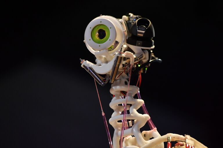 Выставка роботов в Музее науки в Лондоне