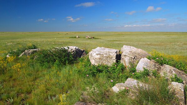 Заповедник в Оренбургской области. Архивное фото