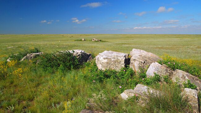 Заповедник в Оренбургской области. Архивное фото