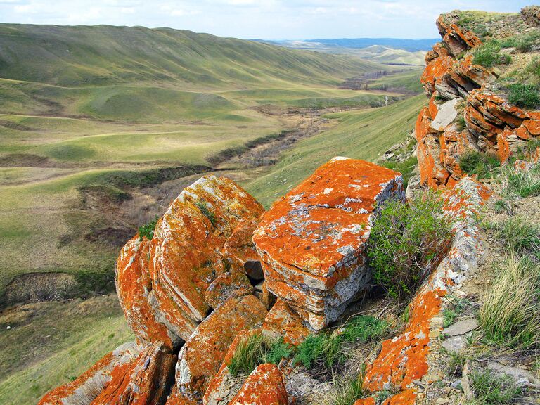 Балка Шинбутак – самая большая, глубокая и обводненная балка в Айтуарской степи. Еще до организации заповедника имела статус государственного памятника природы.