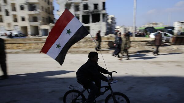 Мальчик с флагом Сирии в Алеппо. Архивное фото